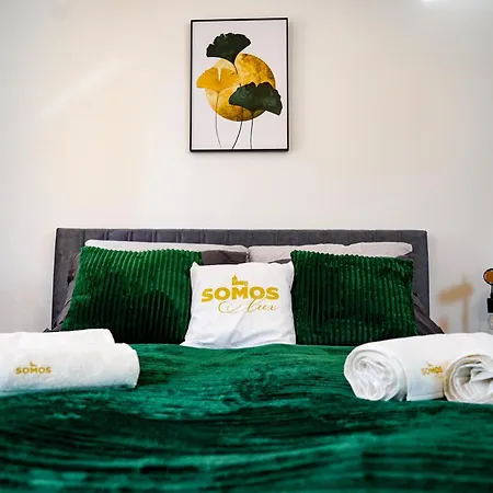 Villa Somos Lux Vendeghaz Somoskoujfalu